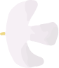 鳥のイラスト